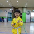 신흥 태권도 이미지