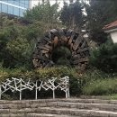 비에비스나무병원 이미지