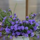 안녕? 가을센터피스 이미지