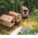 꿈의 달 休 | 수락산 자연휴양림 완벽 가이드 - 3분 매진 예약 성공 노하우부터 이용 팁까지