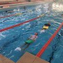 동신파이디온 이미지