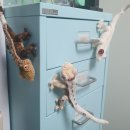 (주)세진전설 | 7월 첫째주 일상모음