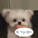 강서로52길 이미지