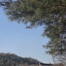 명금당 | 내돈내산 북한산 뷰가 환상적인 서울 한옥카페 '명금탕', 진한 쌍화차와 팥죽 내돈내산 후기(주차 꿀팁) ☕️