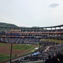 날새농장 네이버블로그