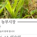 함께하는시장협동조합 이미지