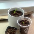 휘수농장 이미지