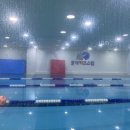 물개키즈스윔 | 물개키즈스윔리뷰