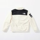 TNF 이미지