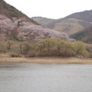 운산목장 이미지