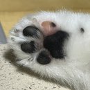 파주착한펜션 | 3분기 결산-1 (해도 됨요?)