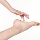레푸스검단로브