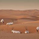 부신농장 이미지