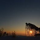 하슬라로 이미지