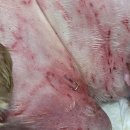 주주동물병원 이미지