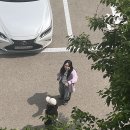 천천떡방앗간 - 수원시 장안구 일월로76번길 25 | 202505
