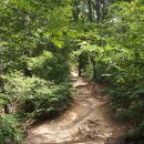 예술공원 둘레길 이미지