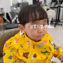 살롱드벨루아