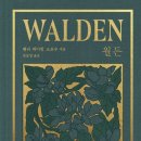 소로3-85 이미지