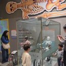 책과 함께하는 푸른별 지구만들기 | [용인] 아이와 함께하는 주말, 경기도어린이박물관 무료 운영일 알차게 즐기기 💛