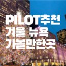 Pilot 추천 뉴욕 겨울에 가볼 만한 곳(브루클린, 타임스퀘어, 록펠러센터)
