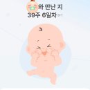 (주)아인당구카페 | [임신일기]39주 임산부 일상, 아인병원 마지막 진료, 치골통, 유도분만 예약 완료, 곧 보자!