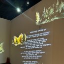 전라남도산림박물관 | 광양 백운산 산림 박물관 아이와 함께 실내 가볼만한 곳