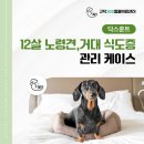 고덕동동물병원, 12살 노령견, 거대 식도증 관리 케이스