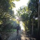 백마흔세번째 2026년 6월 14일 : Taumanu Reserve-Norana Esplanade Walkway-Ambury Park 이미지