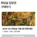중부-현장-중부-278 | [공지] 화담숲 성수기 예약 야놀자에서만! 2025 단풍시기, 예약 꿀팁, 포토존, 뚜벅이 가는법까지...