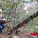 청주남중학교 이미지