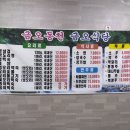 금오식당민박 이미지