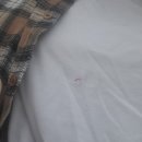 WR(인천광역시 서구)-[건지로]-하-25 | 만만한 6월 (1)