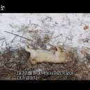 용인농장 이미지