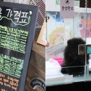 리얼허브애견카페 이미지
