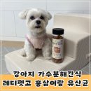 클로버덴탈 | 강아지 저알러지 가수분해간식 레디펫고 홍삼이랑유산균(관절면역) 후기