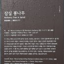 잠실리뽕나무 이미지