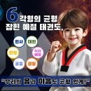 하나린태권도 이미지