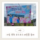 경서대로 | 하동 북천 코스모스 축제 아이랑 체험 입장료까지 솔직후기