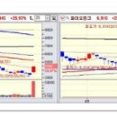 [5월 21일 화요일] 상한가종목/ 상한가매매 종합정보 이미지