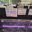 좋은고기마트 | [광교 느티나무마트] 국내산 고기·계란 가성비 좋은 대형마트 솔직 후기