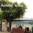 망고트래블