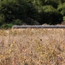 덕천민속마을 이미지