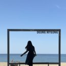 4일차 / 정동진 투어, 분위기 좋고 한적한 해변 추천 🏖️ (정동진 바다부채길, 등명해변, 스테이인더뷰 카페)