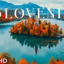 가을의 슬로베니아 4K | 블레드 호수, 고산 숲, 황금빛 산 풍경 이미지