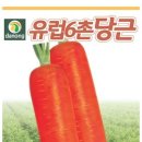 농업회사법인주식회사다농 이미지
