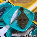 지영이네 활어 이미지