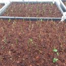 성목목장 이미지