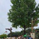 라온제나태권도장 이미지