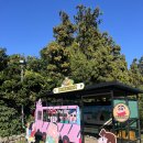 청수유치원 | 제주 짱구 팝업스토어 카페 놀멍쉬멍 르벙쓸레브 캠핑장 소품샵 한정판굿즈 후기